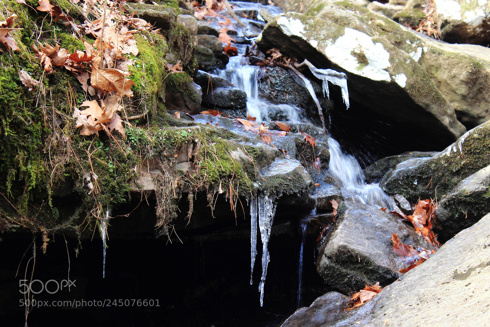 Canon EOS 600D (Rebel EOS T3i / EOS Kiss X5) sample photo. Mossy bluff ice photography