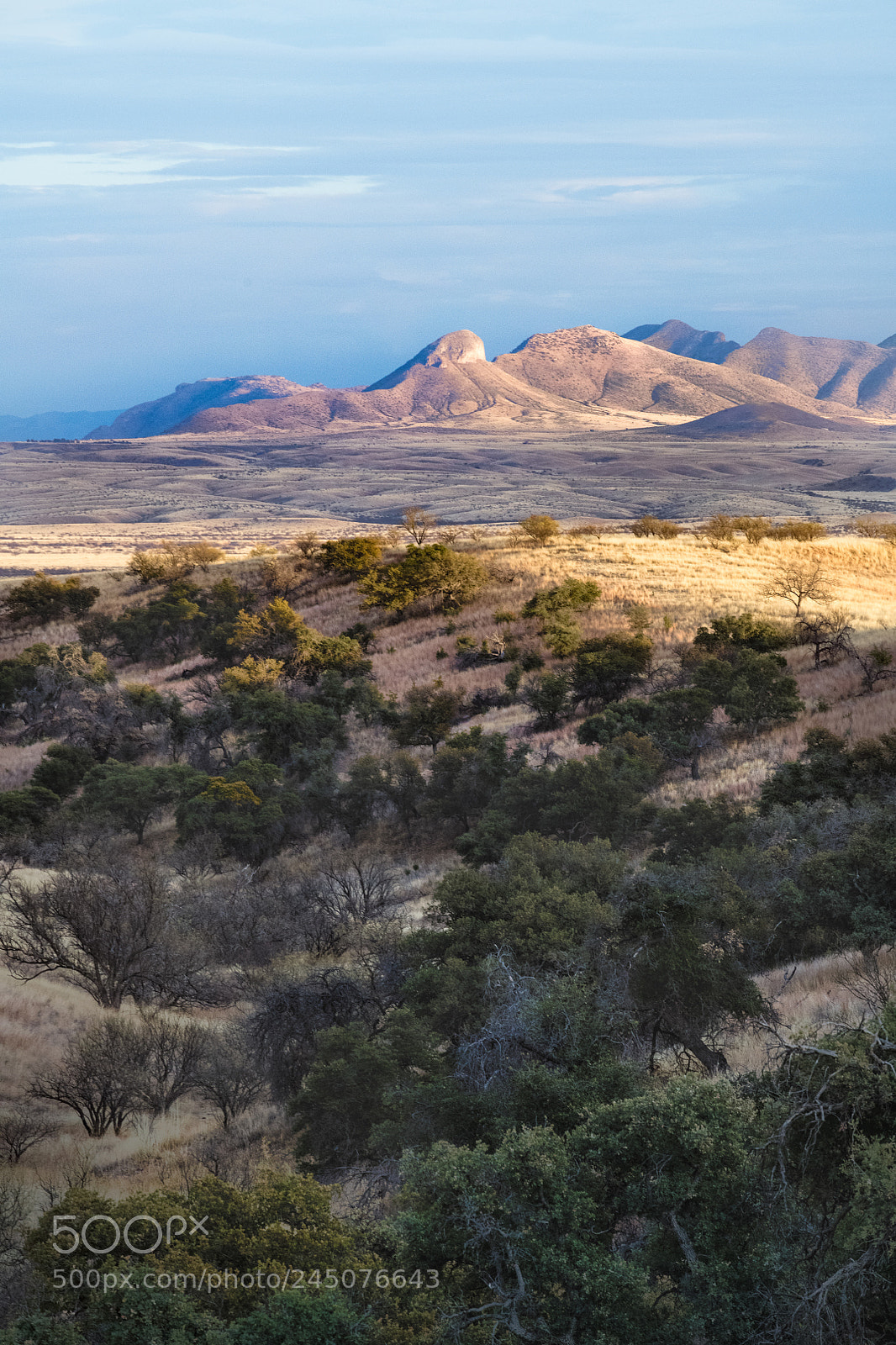Nikon D850 sample photo. Rolling hills to mustang photography