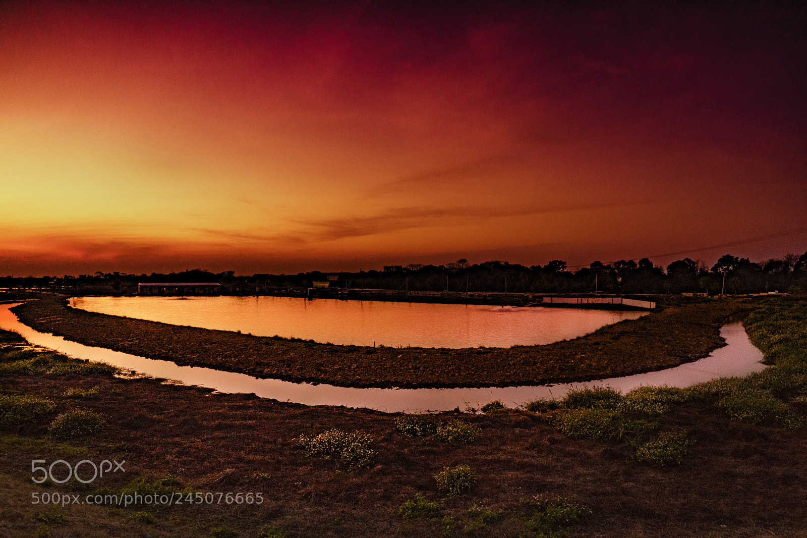 Sony a7R II sample photo. Concentric red photography