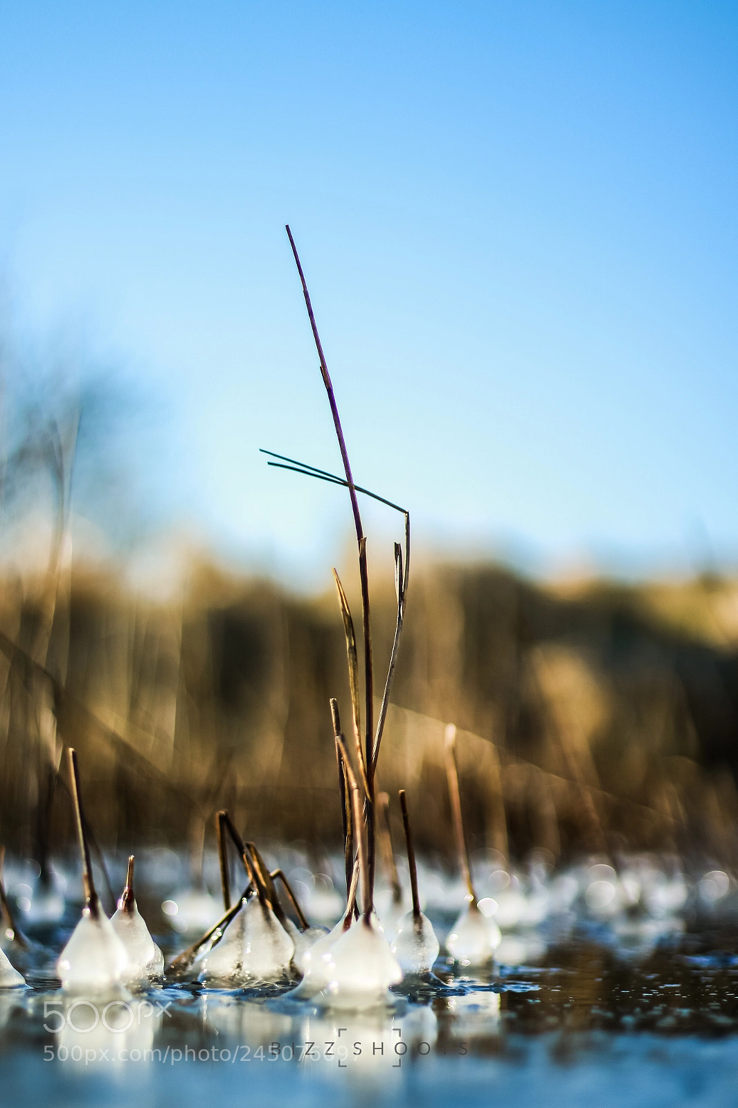 Canon EOS 7D Mark II sample photo. Freezing photography