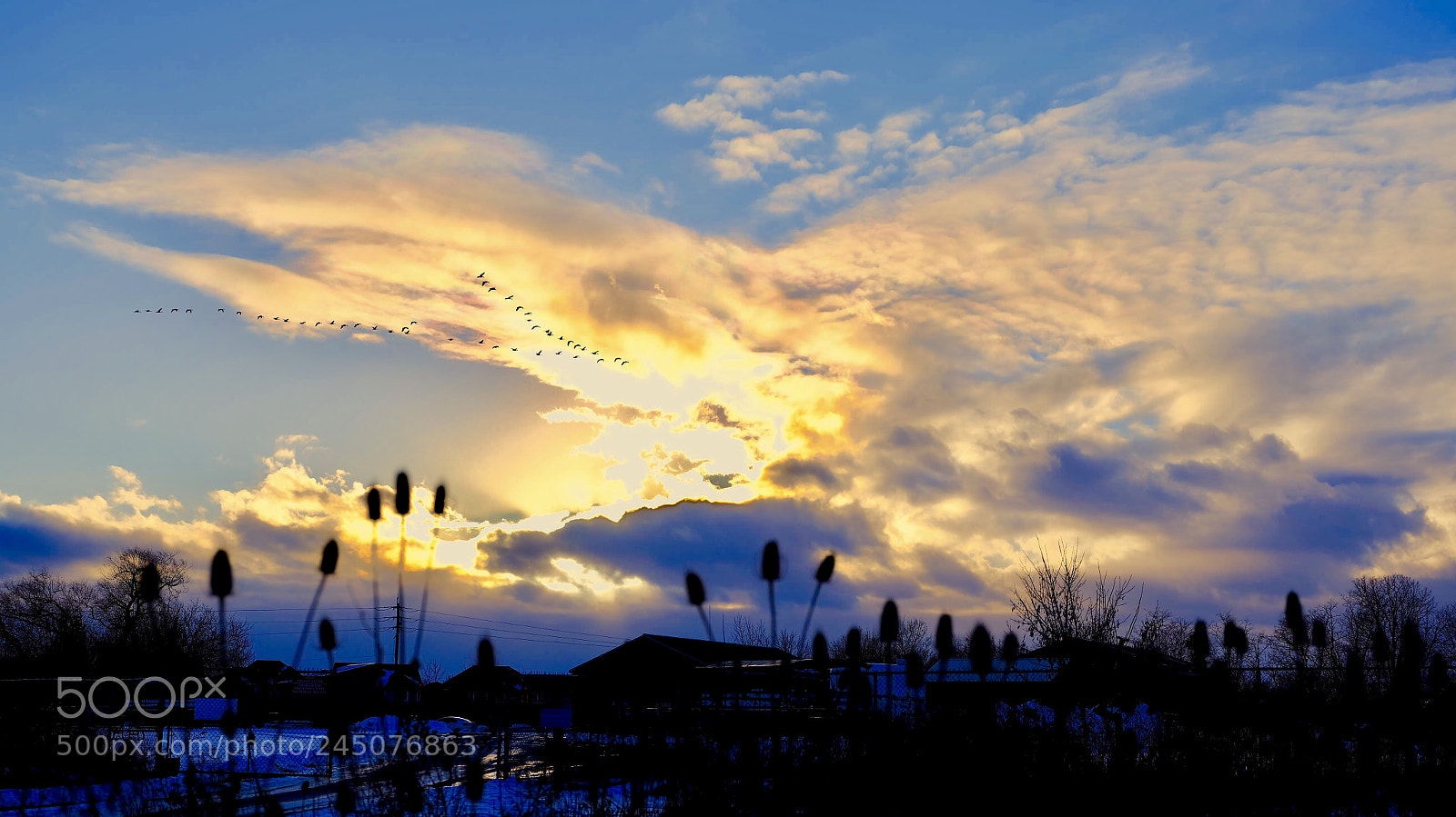 Fujifilm GFX 50S sample photo. Return on sunset photography