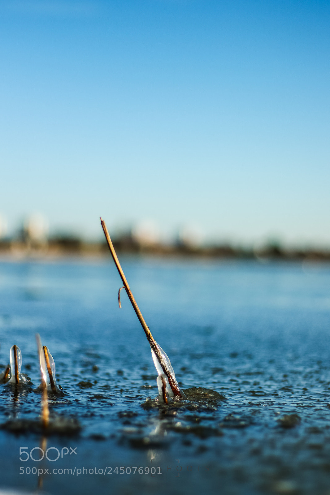 Canon EOS 7D Mark II sample photo. Frozen lake photography