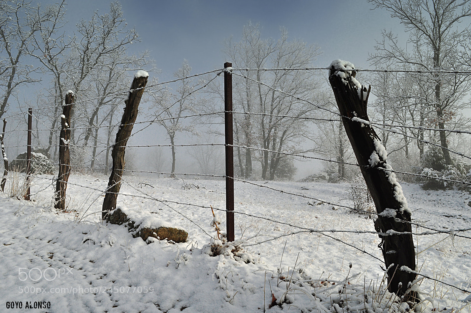Nikon D5000 sample photo. Nieves photography
