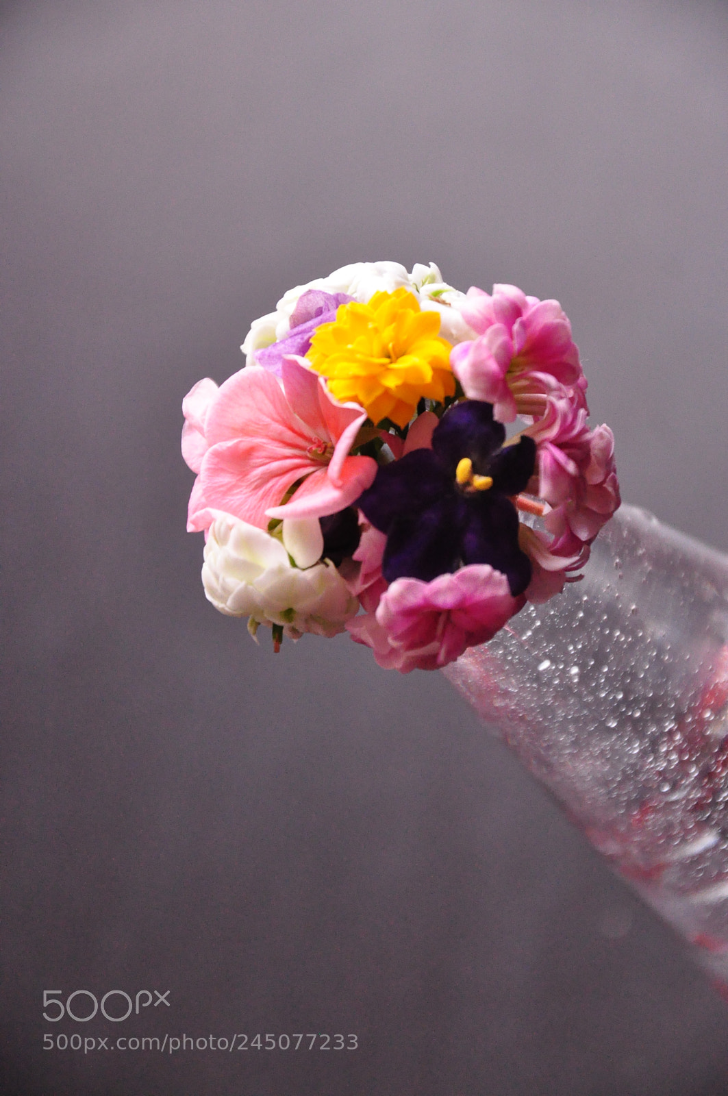 Nikon D90 sample photo. () photography