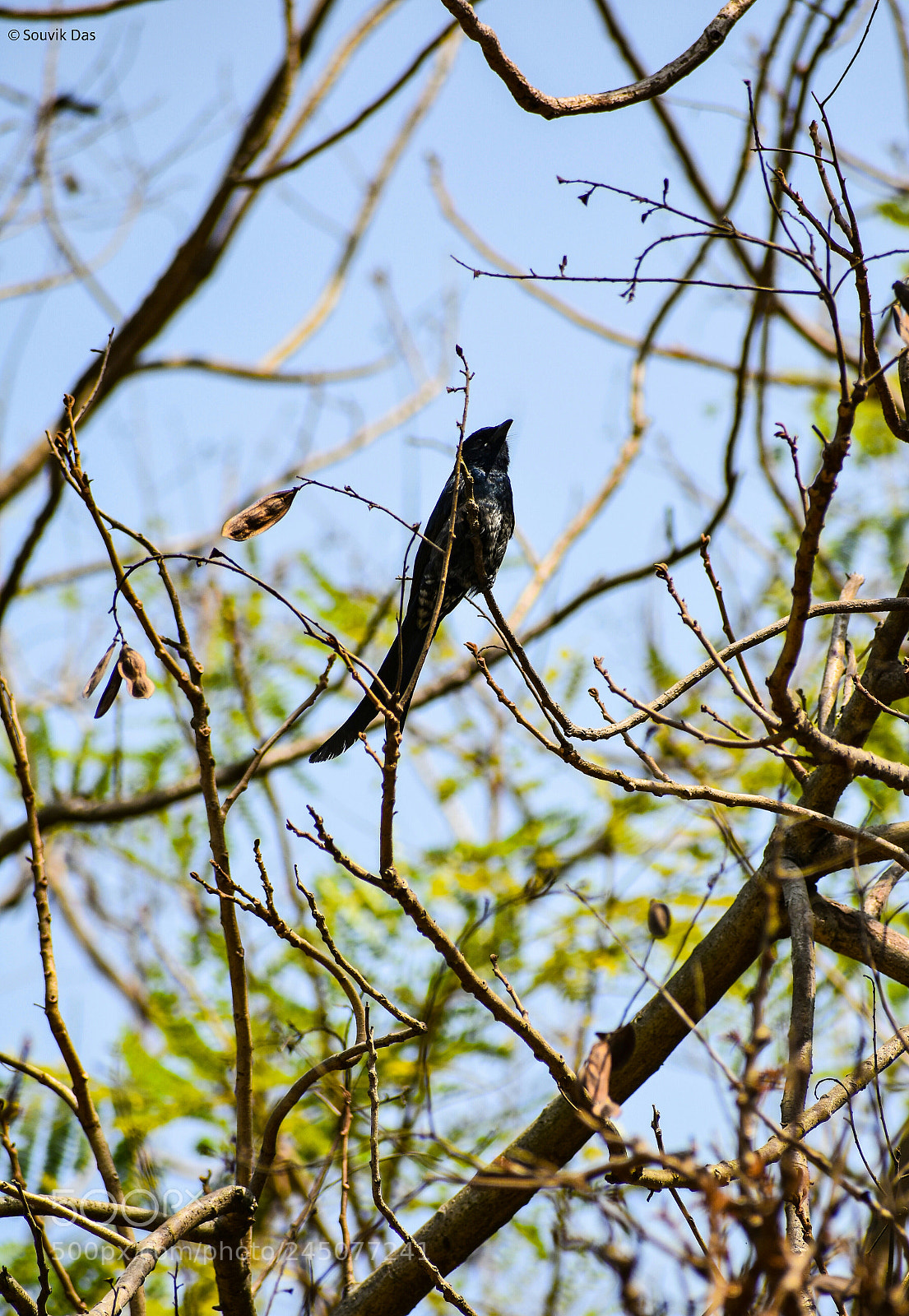Nikon D3400 sample photo. Untitled photography
