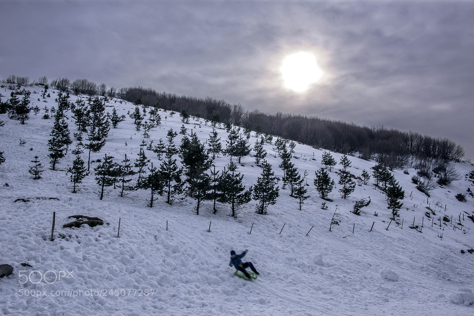 Nikon D810 sample photo. Fun in snow photography