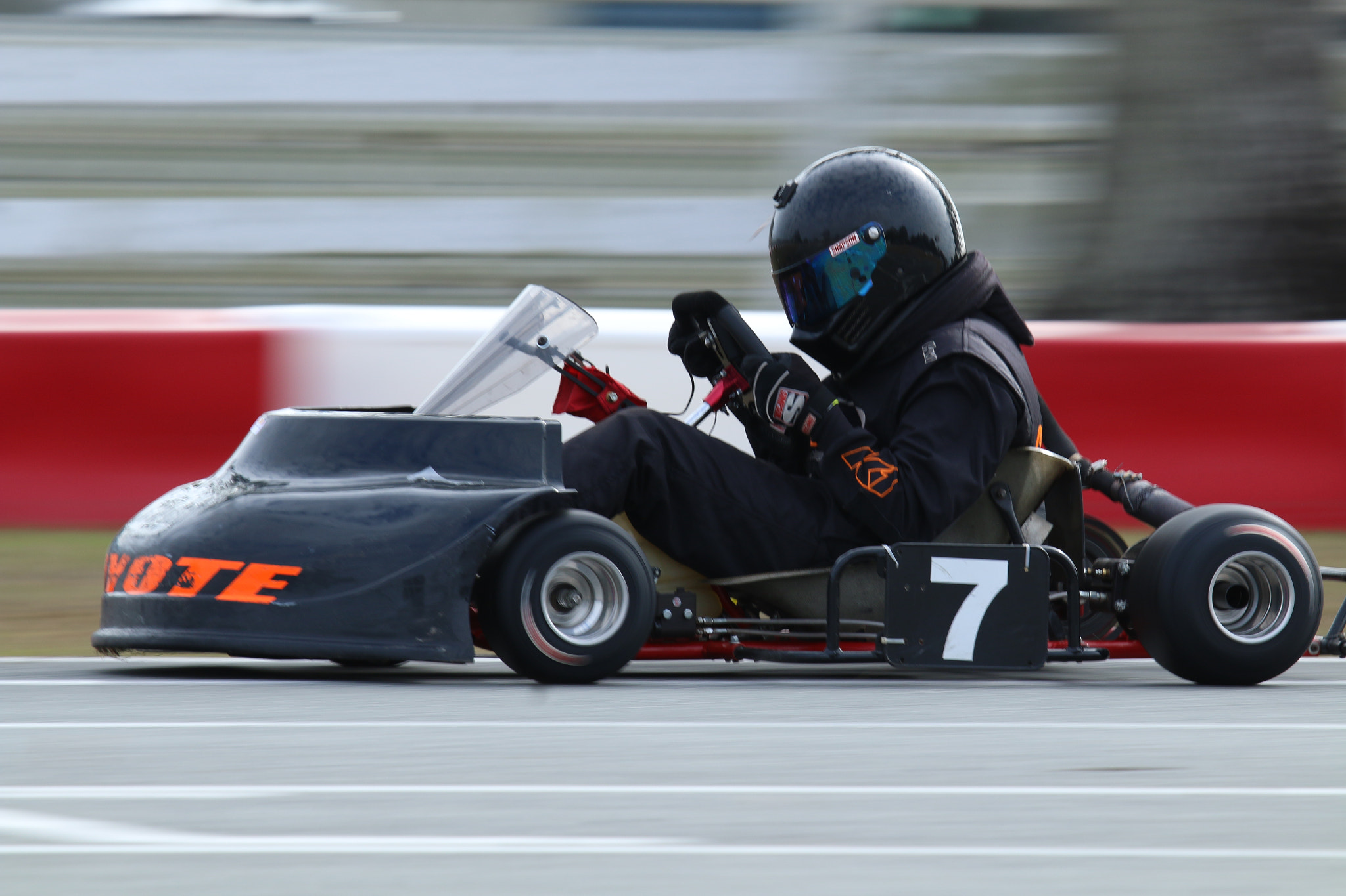 Canon EF 100-400mm F4.5-5.6L IS USM sample photo