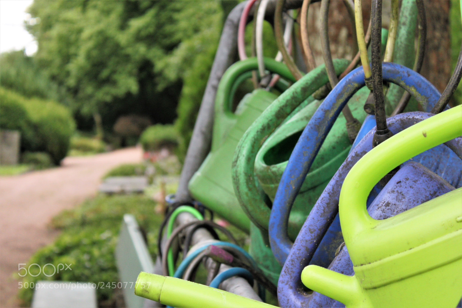 Canon EOS 500D (EOS Rebel T1i / EOS Kiss X3) sample photo. Img photography