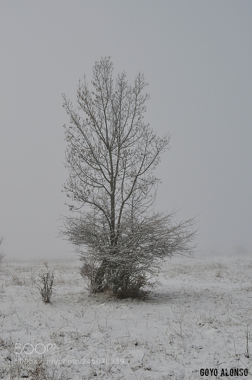 Nikon D5000 sample photo. Nieves photography