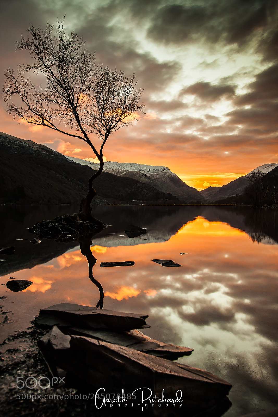 Canon EOS 5D Mark II sample photo. Lonely tree in snowdonia photography