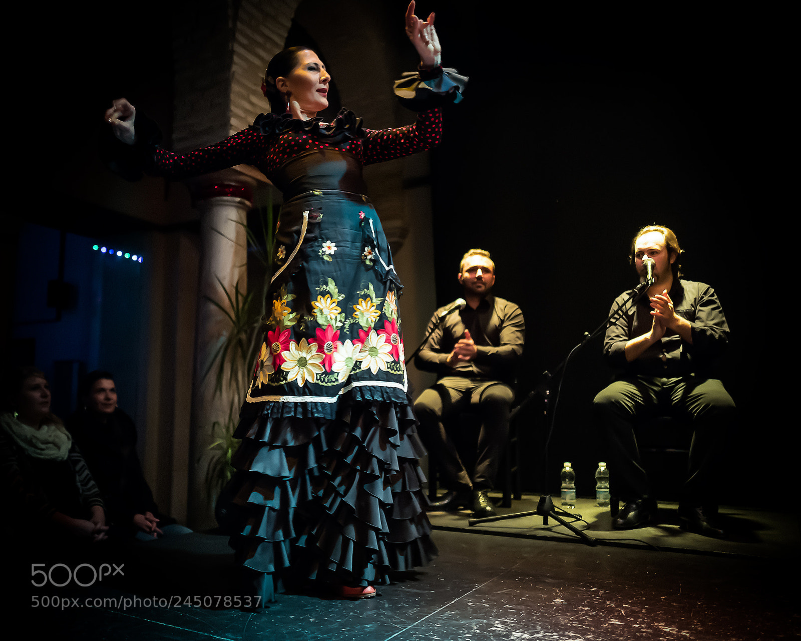 Leica Q (Typ 116) sample photo. Flamenco photography