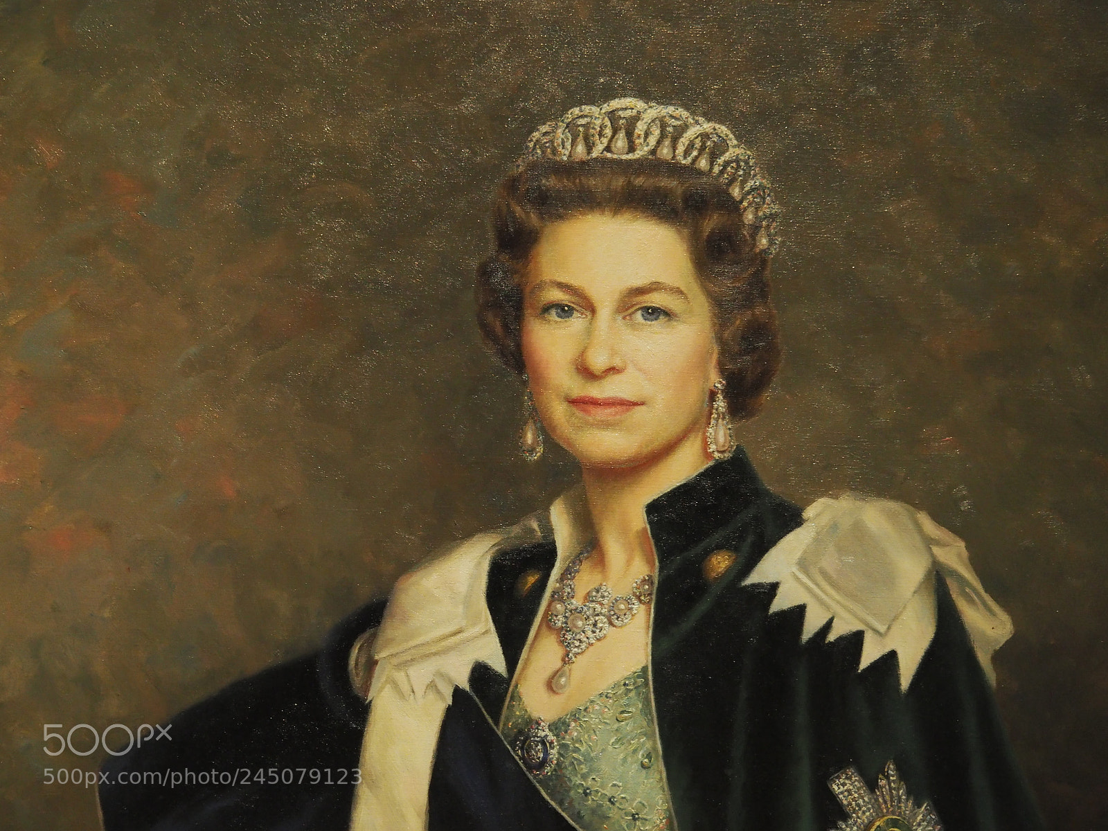 Olympus OM-D E-M5 II sample photo. A beautiful queen of photography