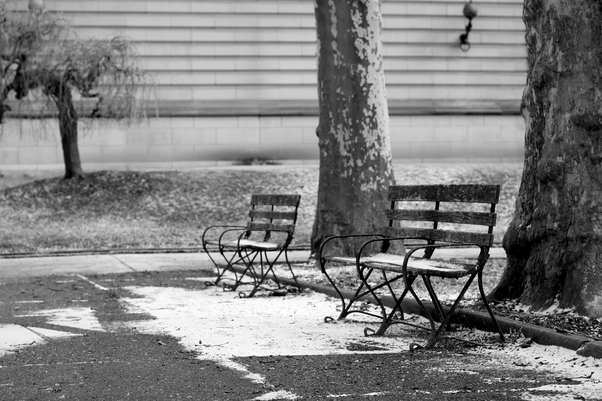 Canon EOS 80D + Canon EF 50mm F1.4 USM sample photo. Empty benches photography