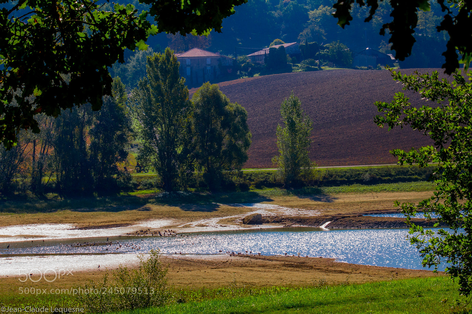 Canon EOS 60D sample photo. Autour du lac 16 photography