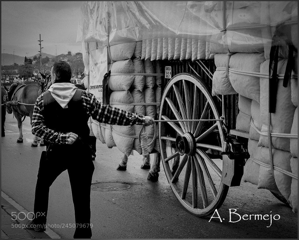 Nikon D90 sample photo. Bn photography