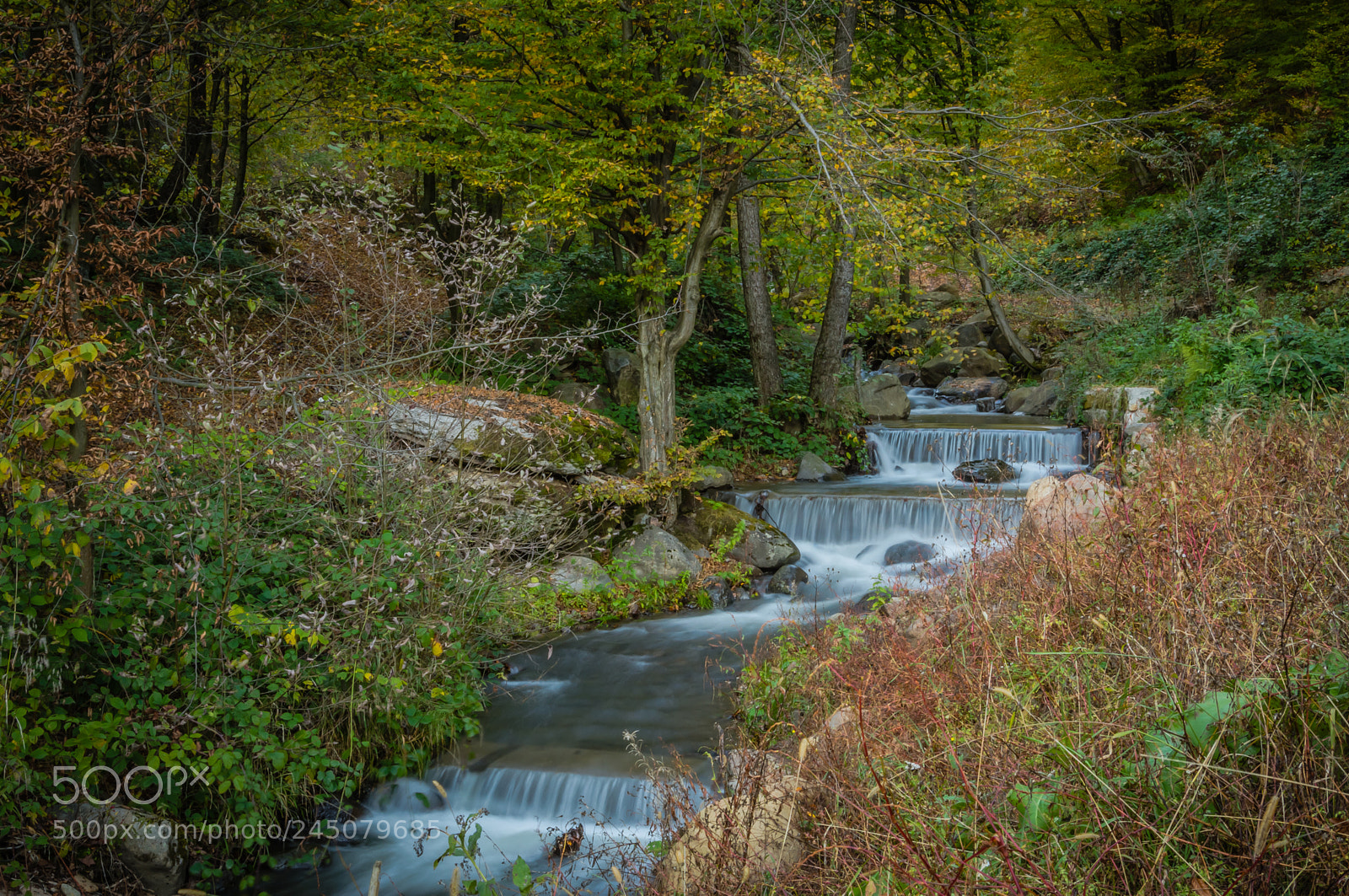 Nikon D5200 sample photo. Matecsa elemer istvan photography