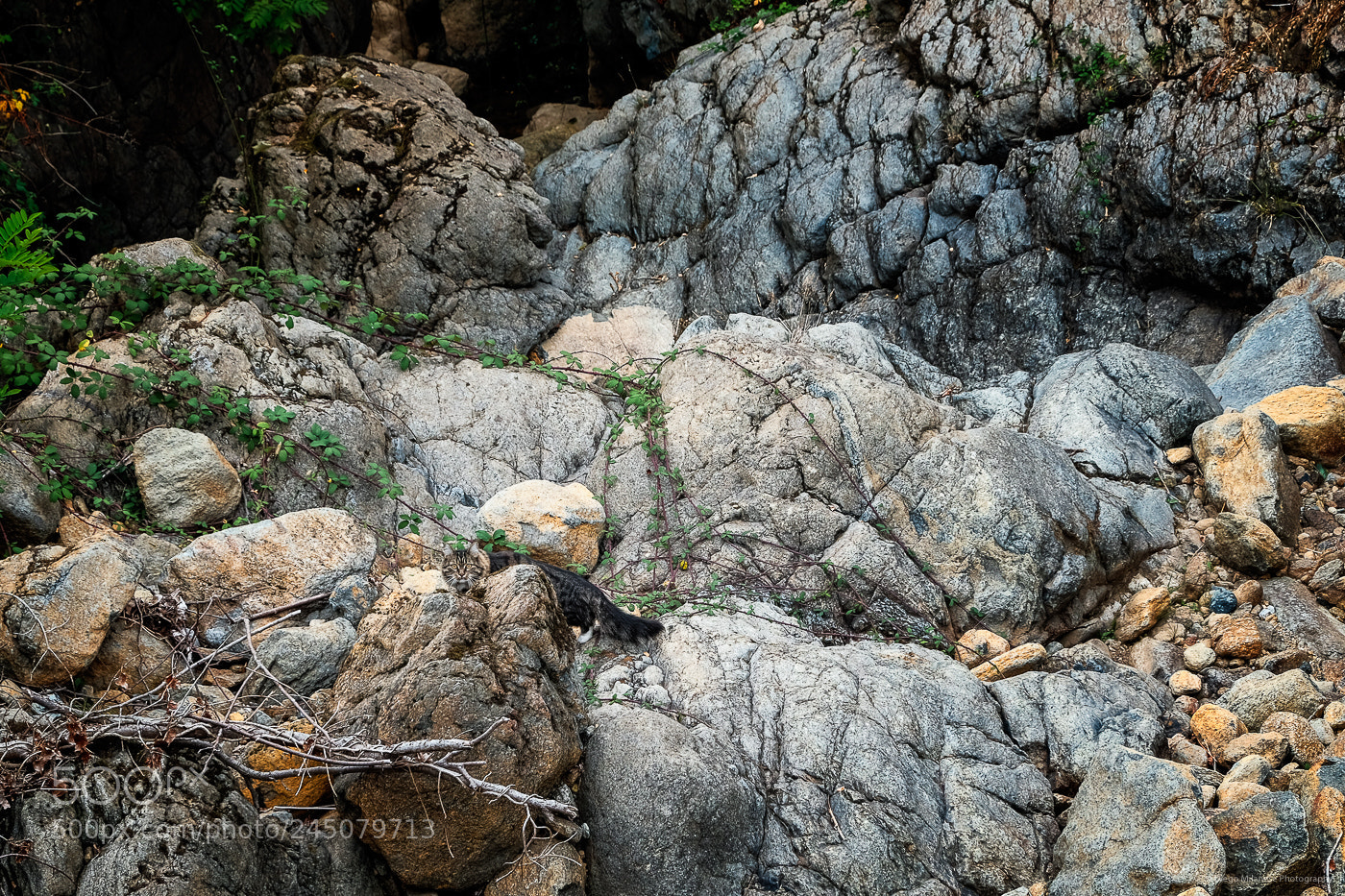 Fujifilm X-T20 sample photo. The hunter photography