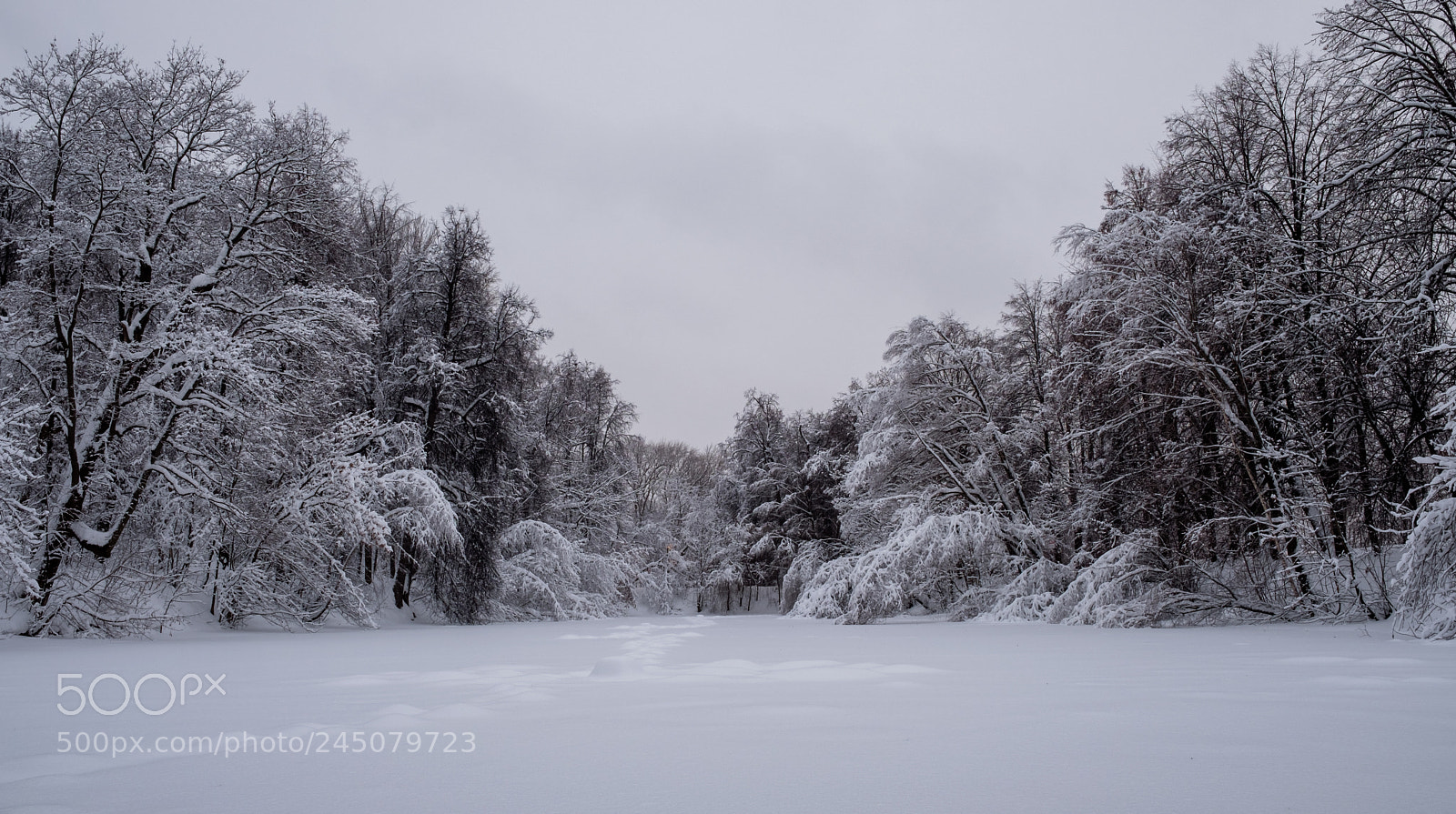 Fujifilm X-T20 sample photo. Winter lake photography