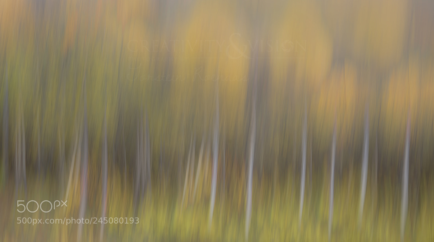 Pentax K-1 sample photo. Fall colours photography