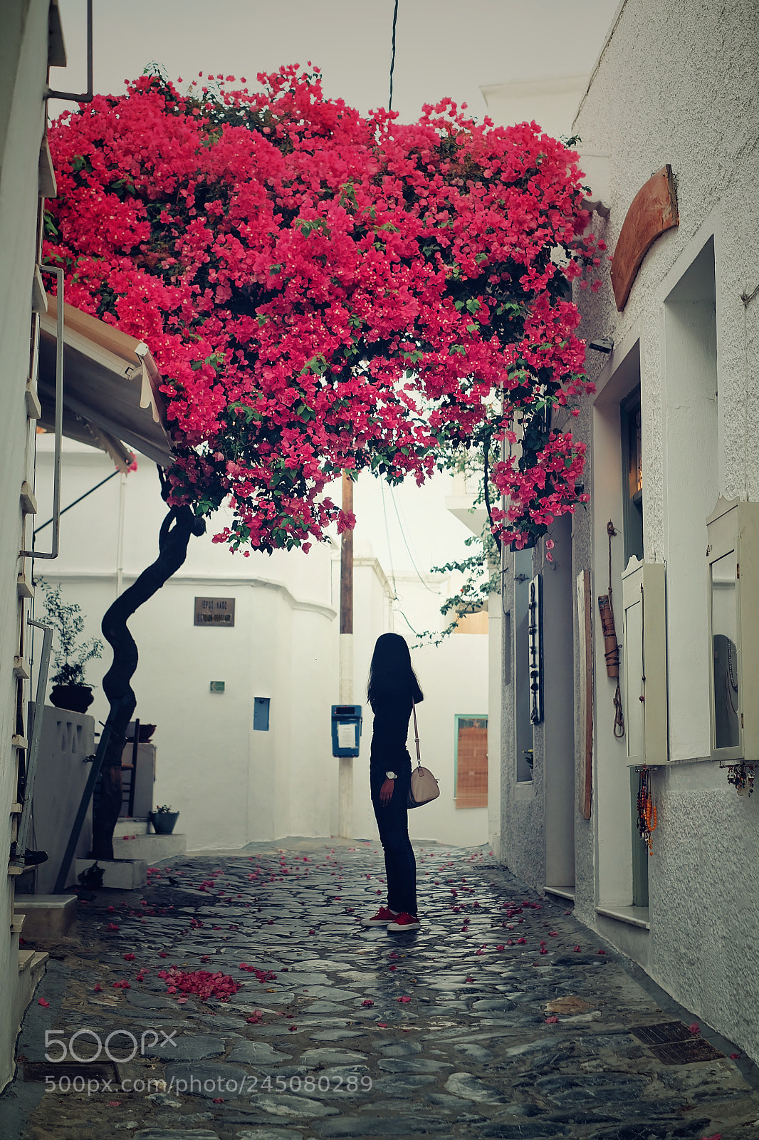 Fujifilm X-A2 sample photo. Skyros photography