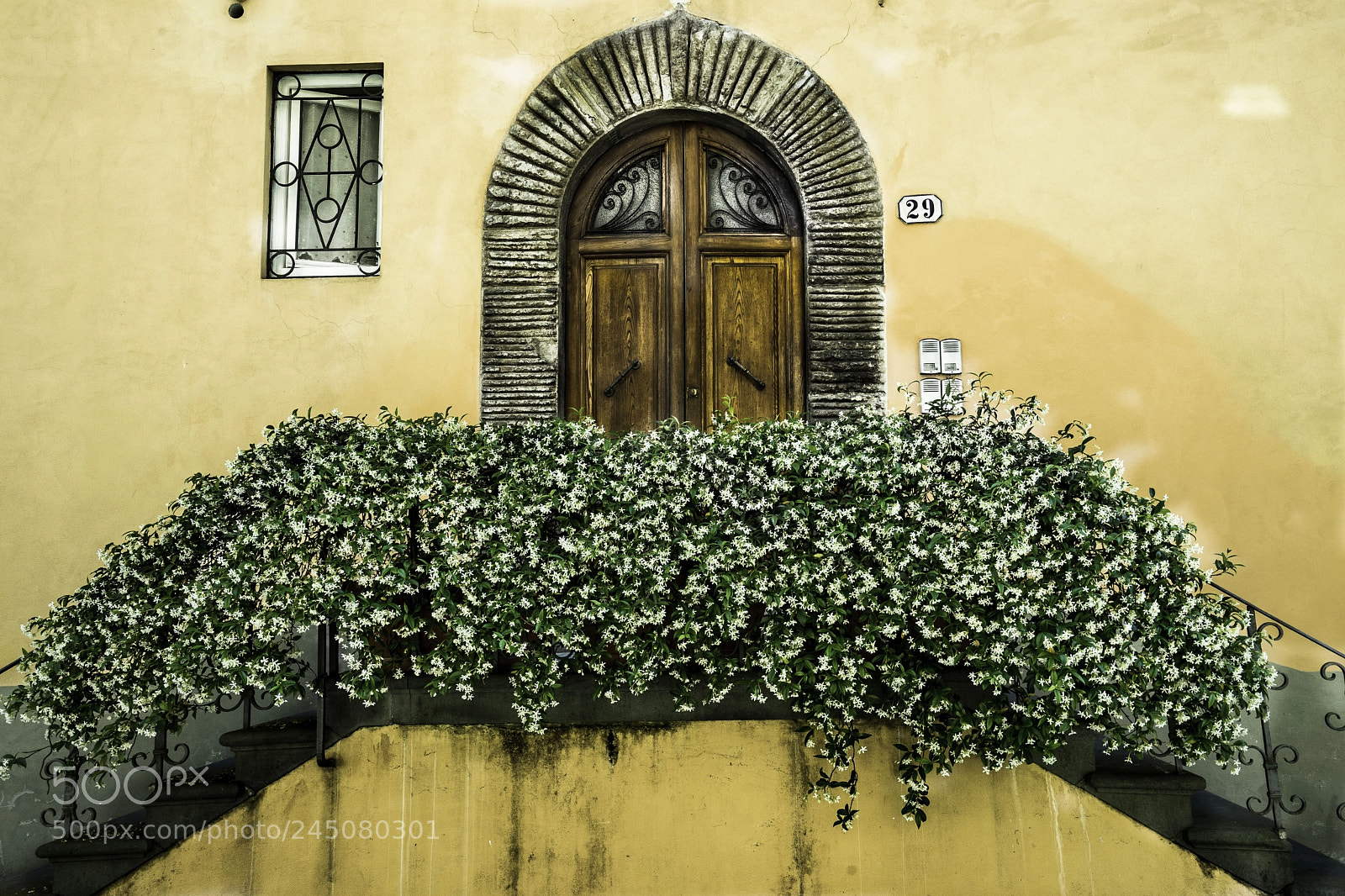 Sony a7 II sample photo. Porta lucca gelsomino photography