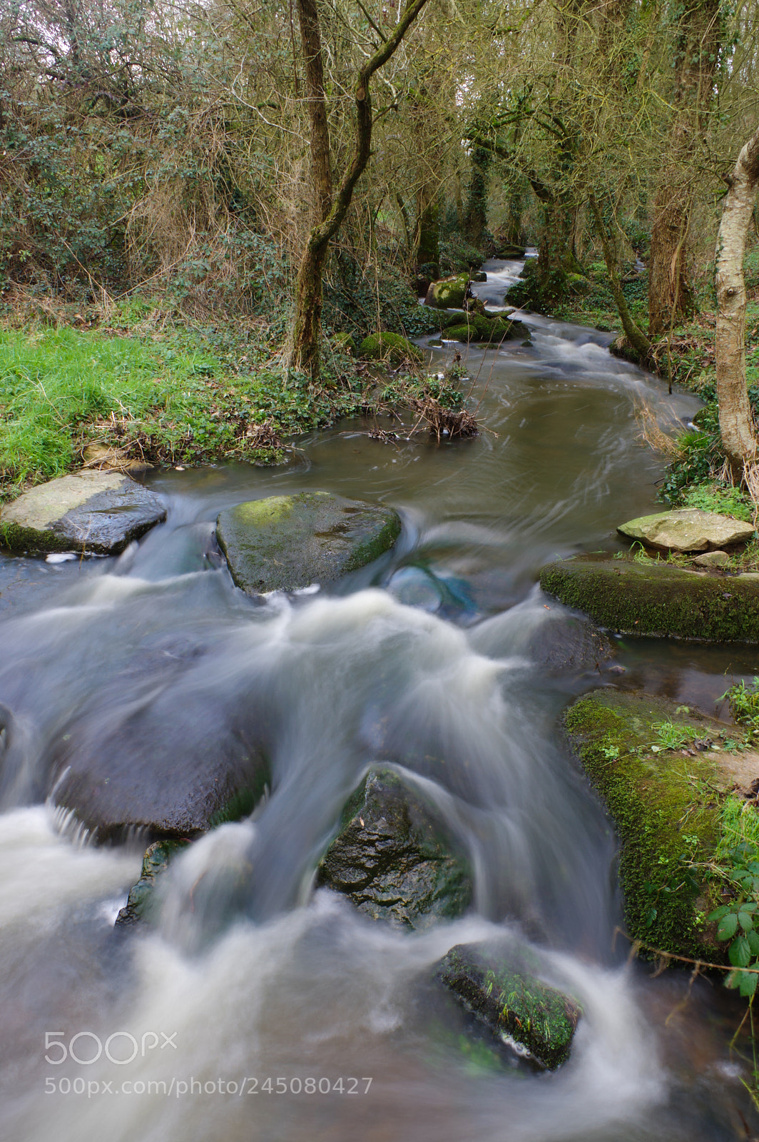 Pentax K-3 sample photo. A little river near photography