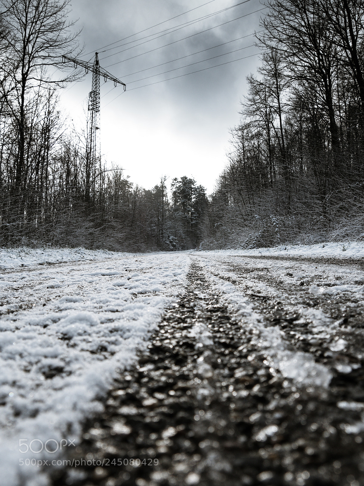 Panasonic Lumix DMC-GH4 sample photo. Woods & sky photography