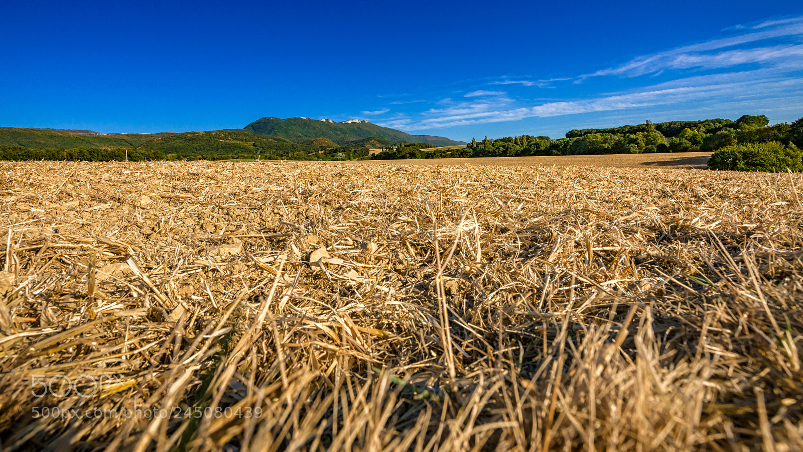 Sony Alpha DSLR-A900 sample photo. Sloping acres with mountain photography