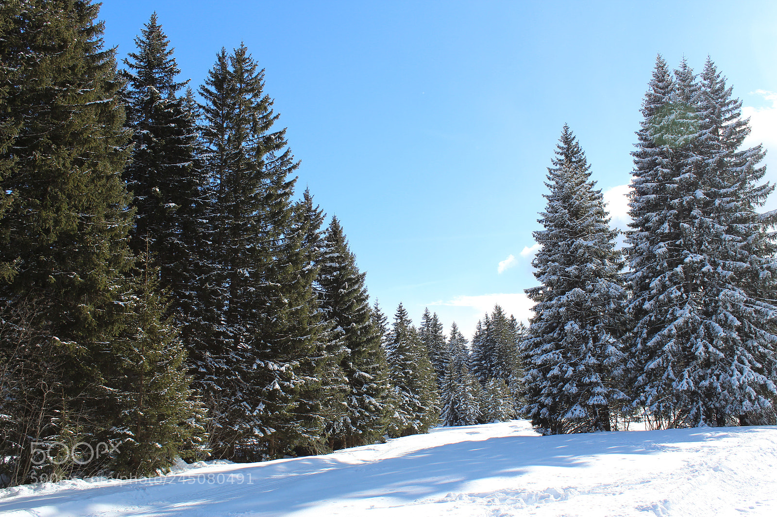 Canon EF-S 18-55mm F3.5-5.6 III sample photo. Brambrüesch photography