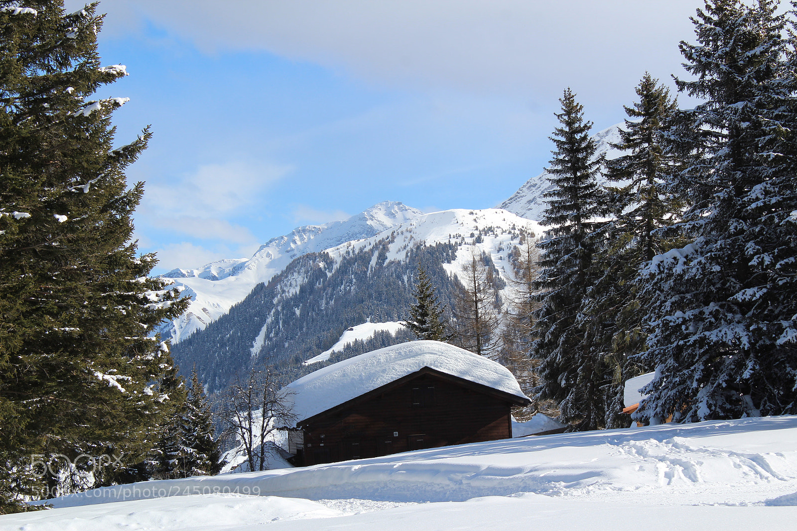 Canon EF-S 18-55mm F3.5-5.6 III sample photo. Brambrüesch photography