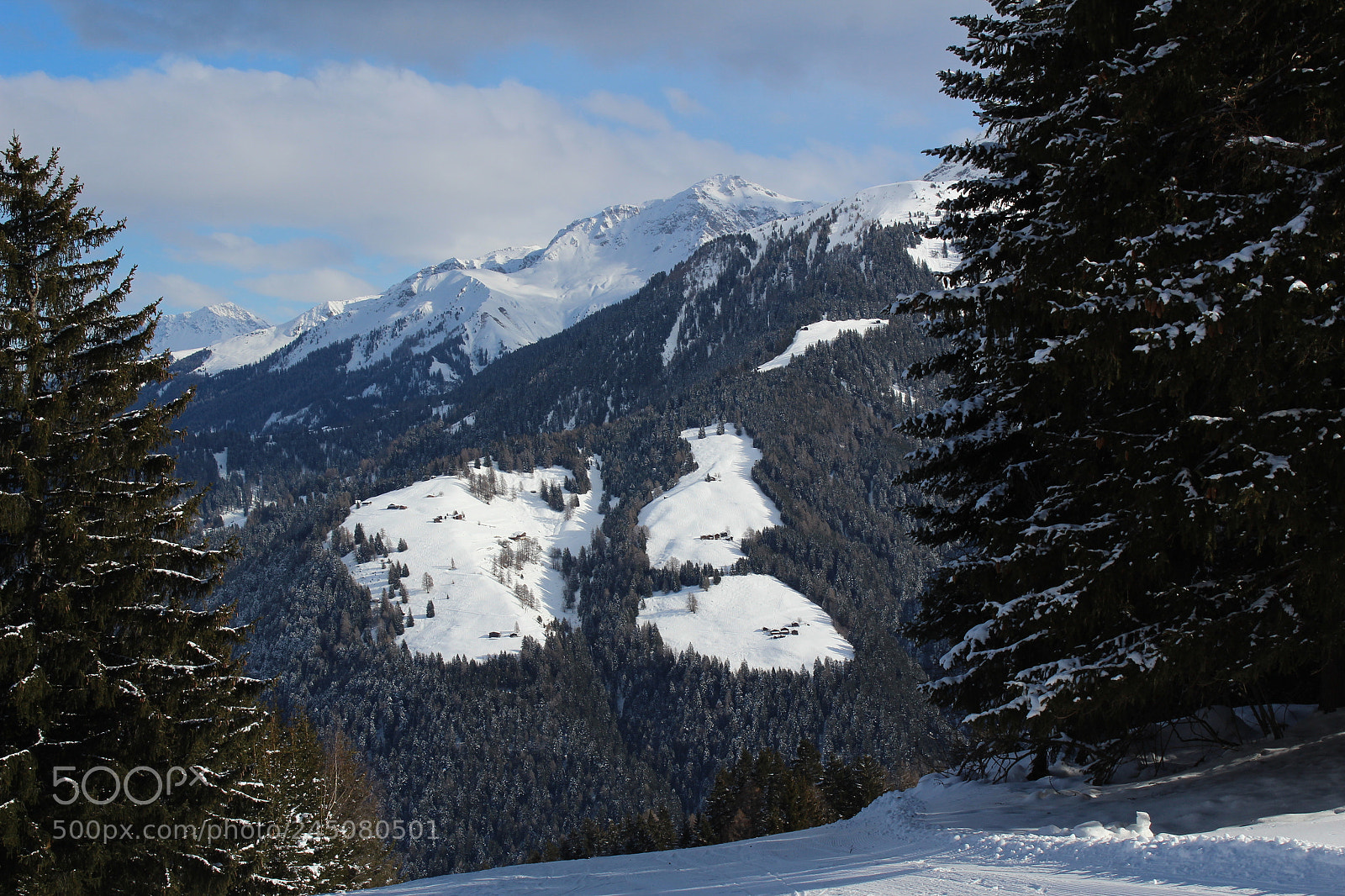 Canon EF-S 18-55mm F3.5-5.6 III sample photo. Brambrüesch photography