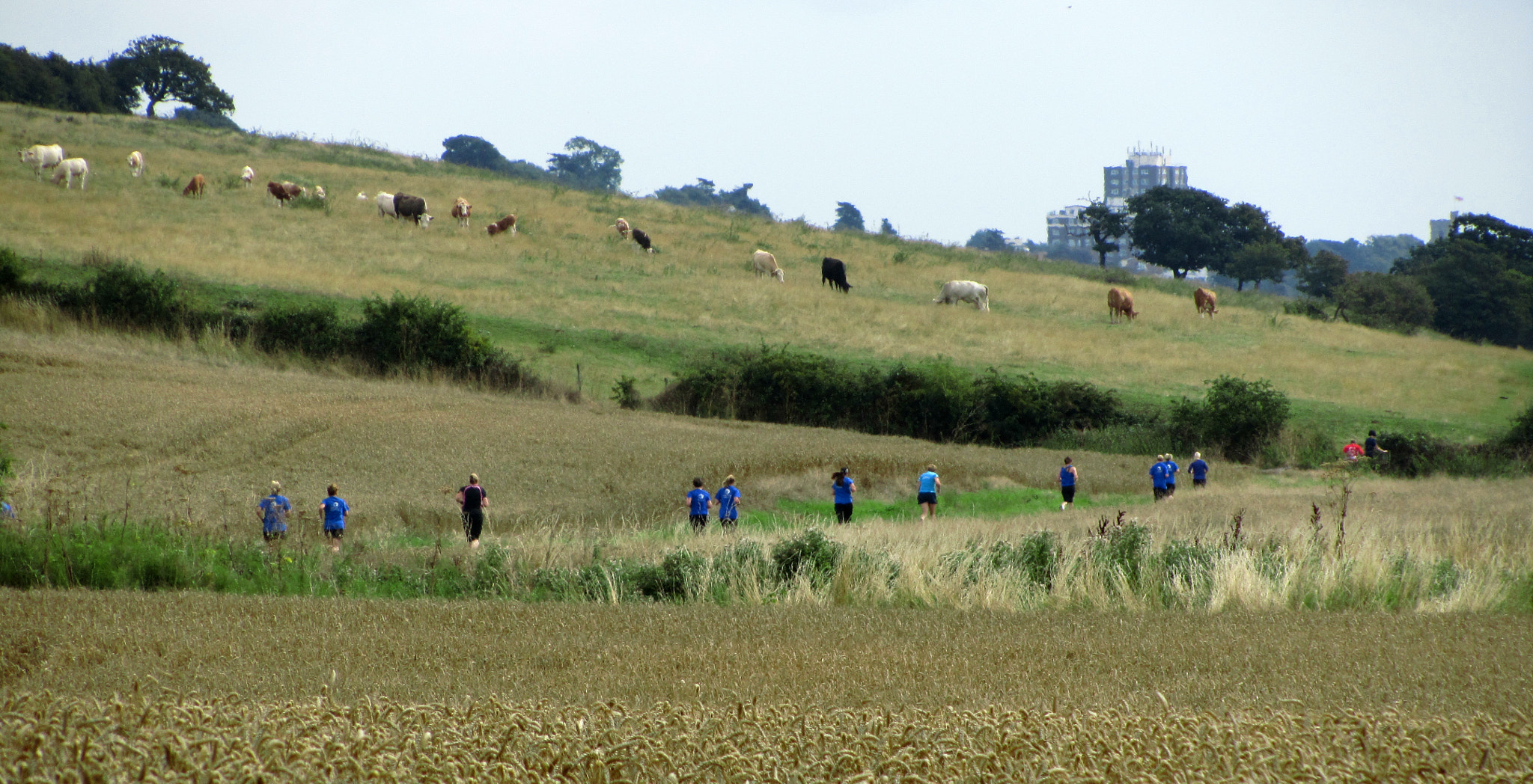 Canon PowerShot SX210 IS sample photo. Near hadleigh castle, essex photography