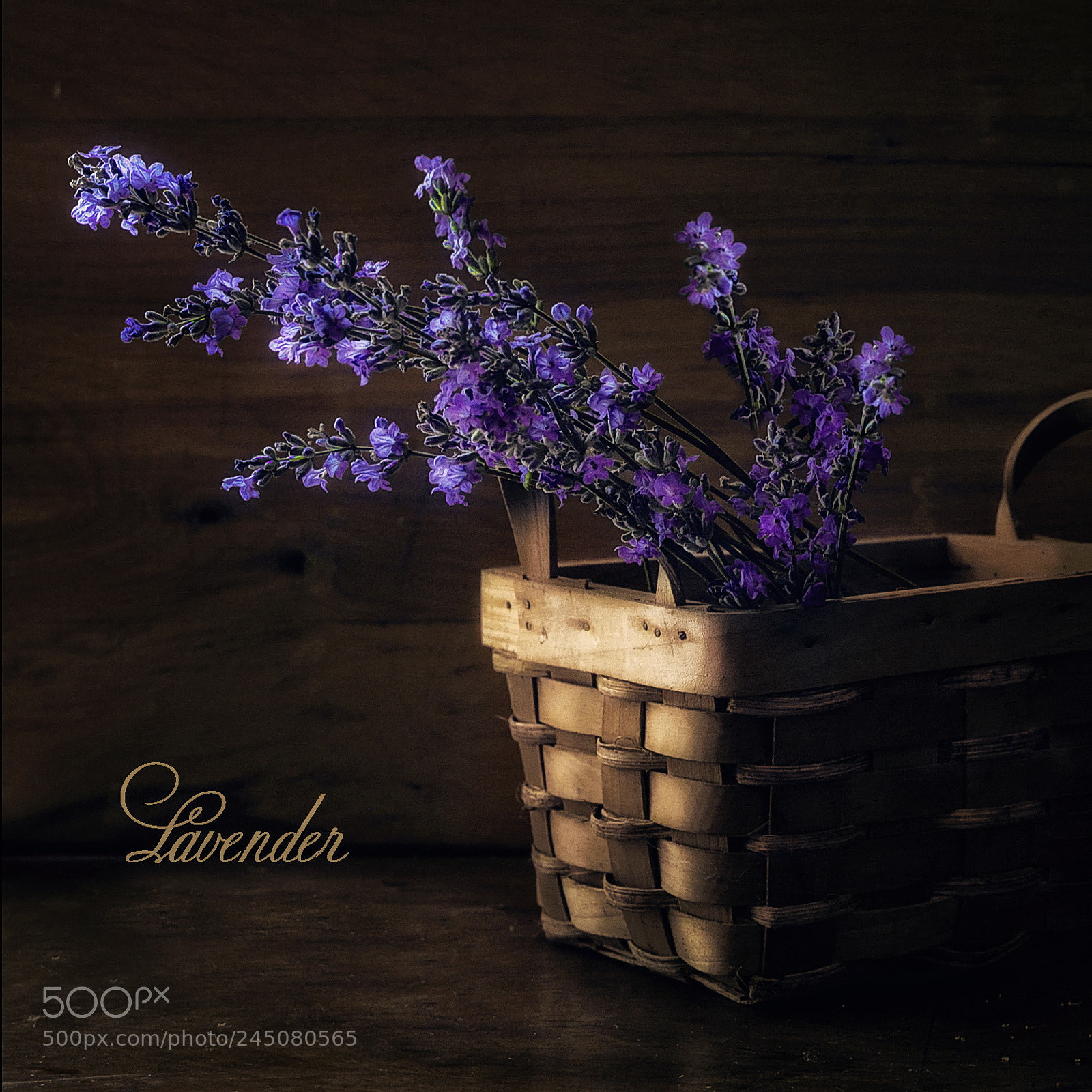 Nikon D610 sample photo. Lavender photography