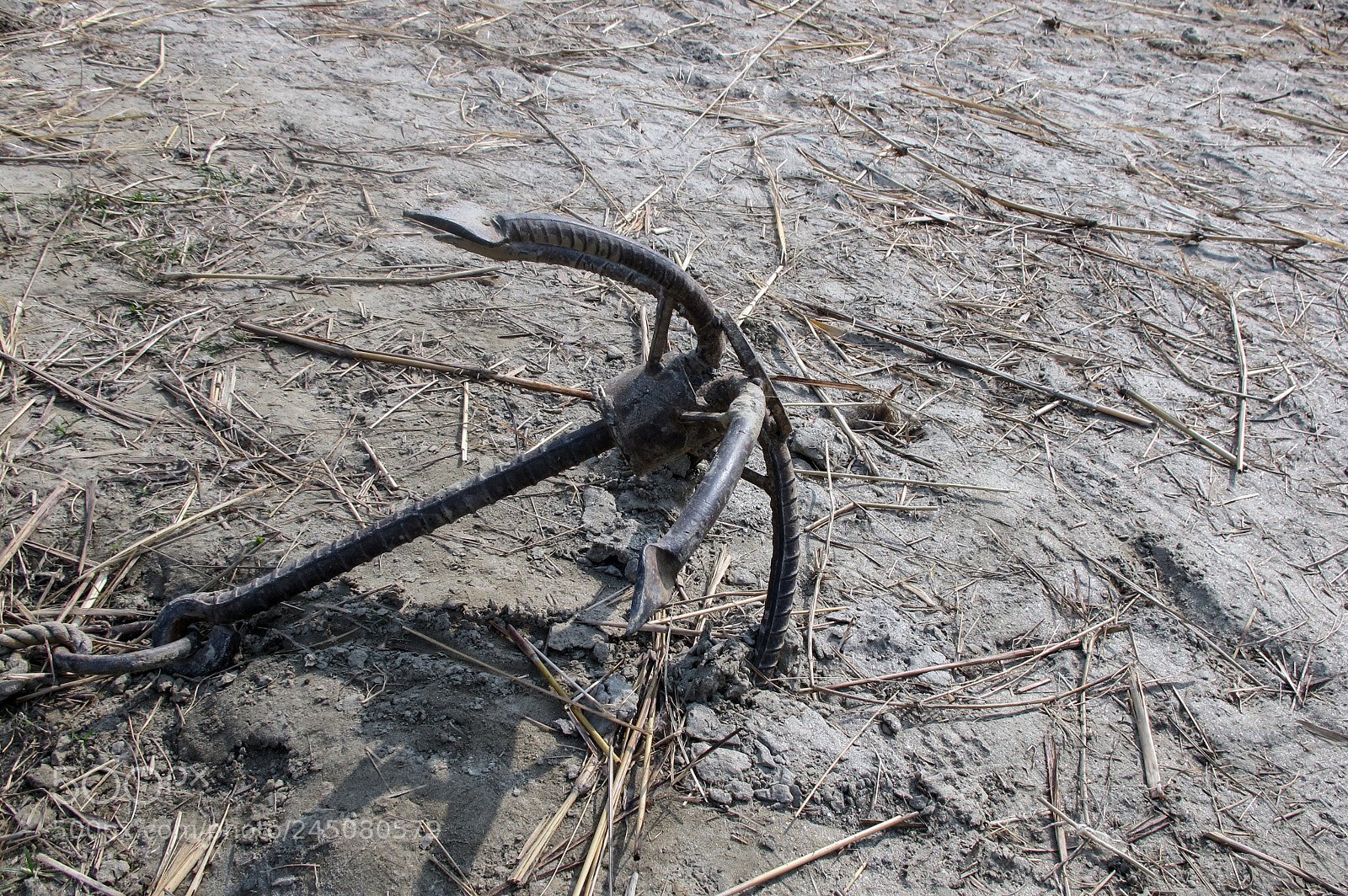 Canon PowerShot G11 sample photo. Grapnel anchor on the photography