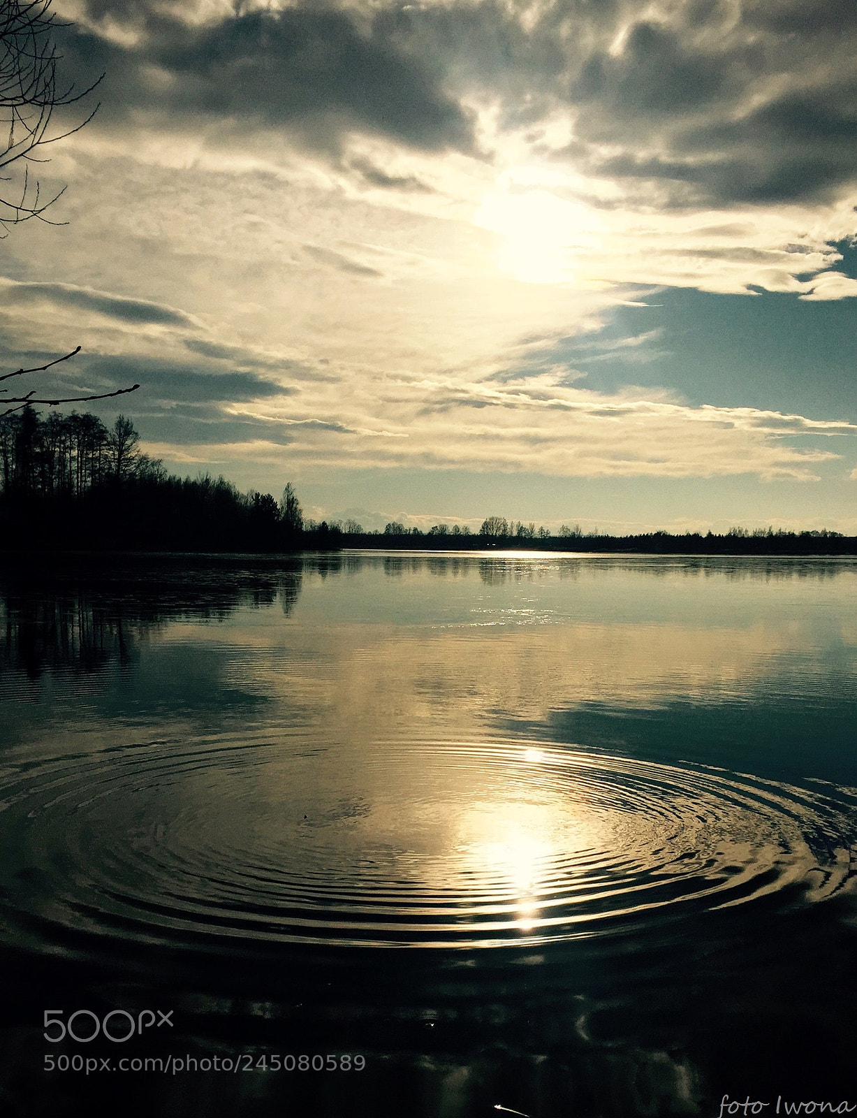 Apple iPhone 6 sample photo. Img photography