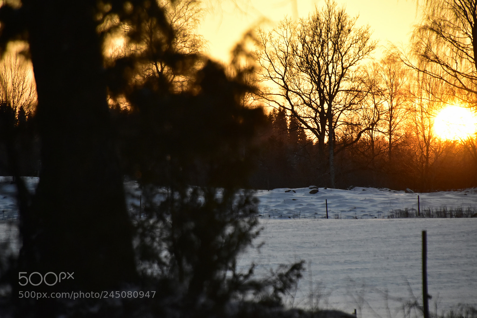 Nikon D5500 sample photo. Solnedgång photography