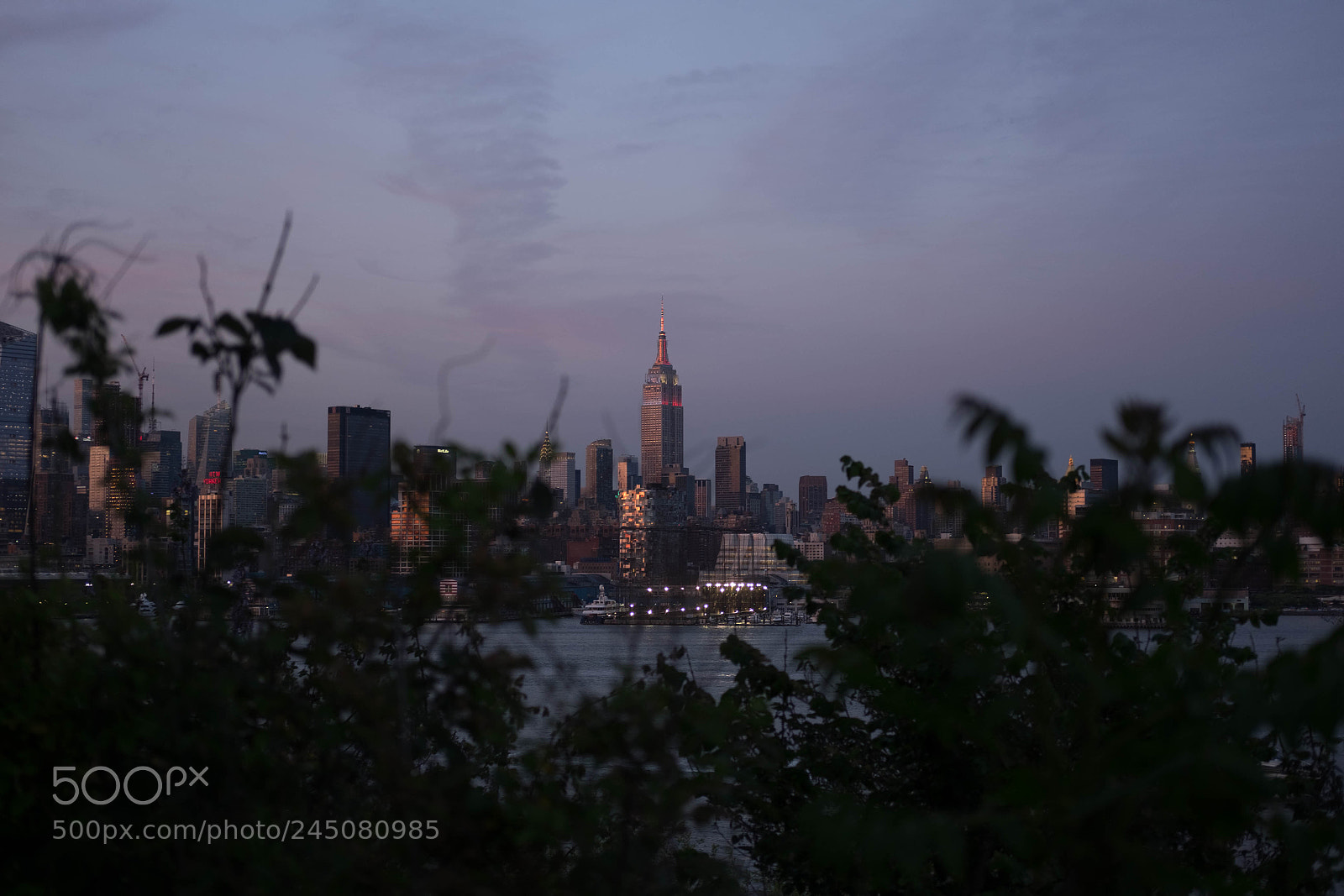 Fujifilm X-E2 sample photo. The esb in the photography