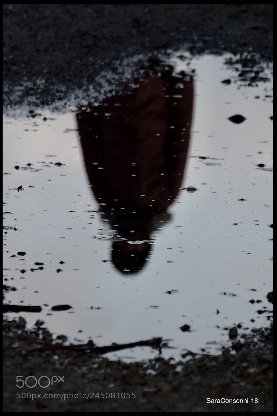 Nikon D7200 sample photo. Ombra nell’acqua photography