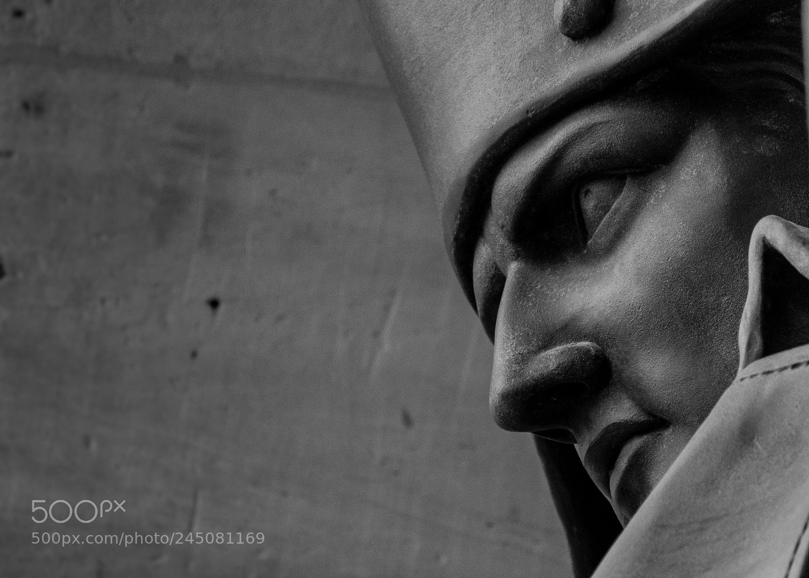 Nikon D7100 sample photo. L'empereur. photography