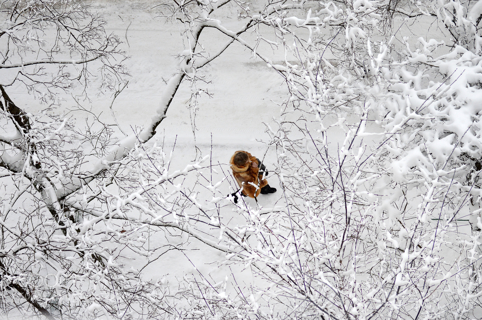 Nikon D3200 sample photo. Люди в цвете photography