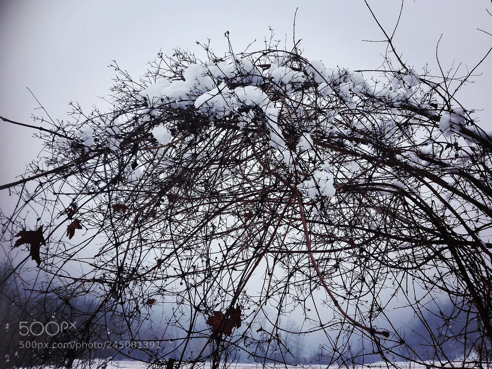 HUAWEI P8 Lite sample photo. Finaly snow photography