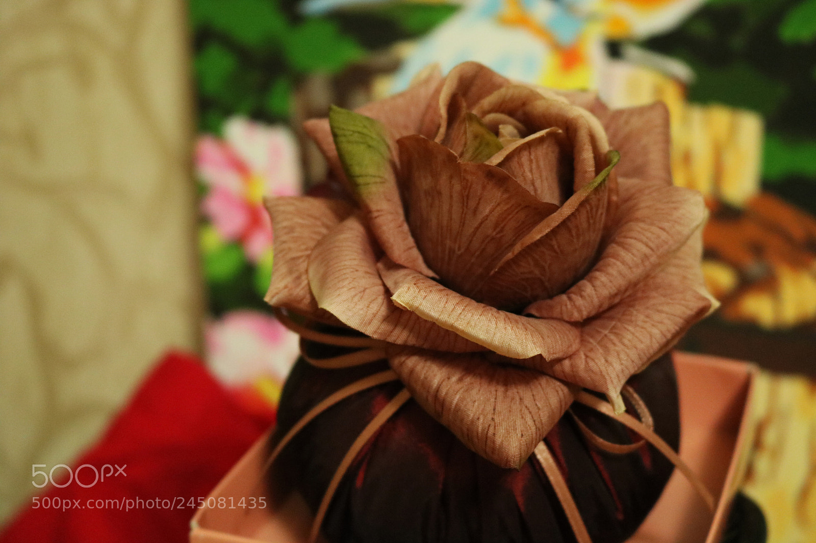Canon EOS 750D (EOS Rebel T6i / EOS Kiss X8i) sample photo. Rose photography
