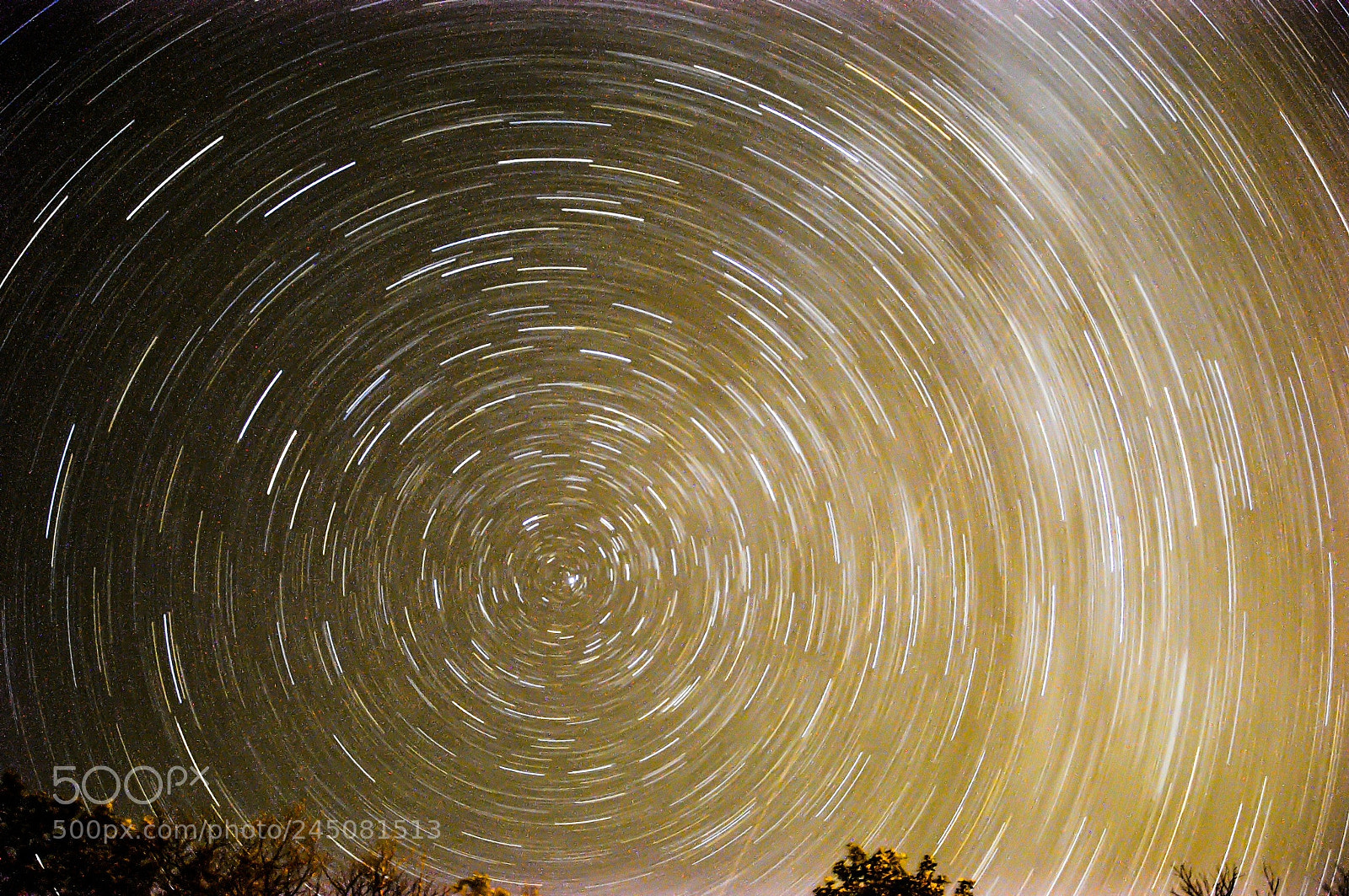 Nikon D90 sample photo. Star trails photography
