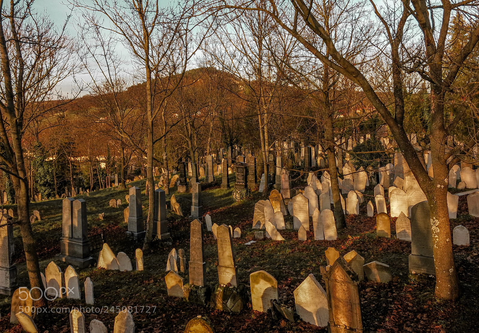 Canon PowerShot G15 sample photo. Mikulov's cemetery photography
