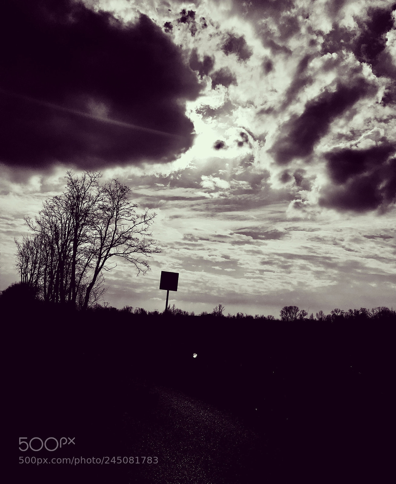 Apple iPhone 6s sample photo. Untitled photography