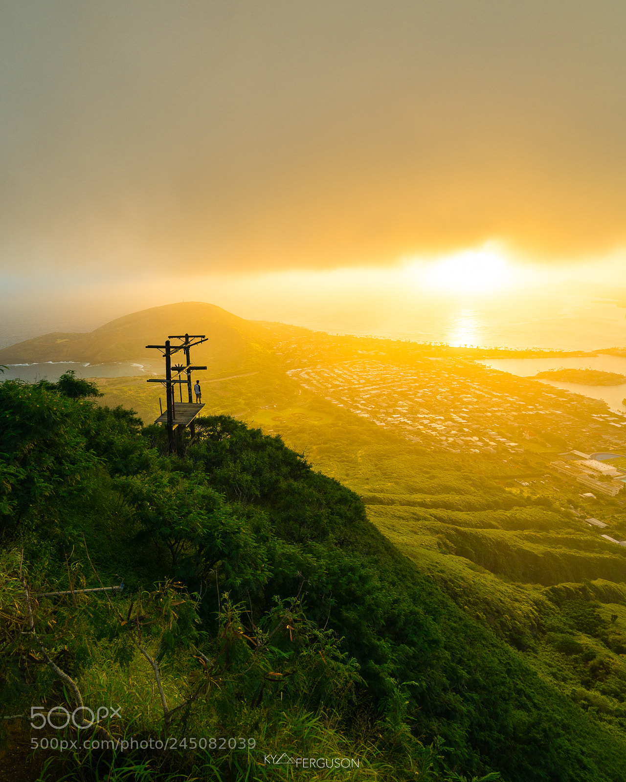 Sony a7R III sample photo. The view from koko photography