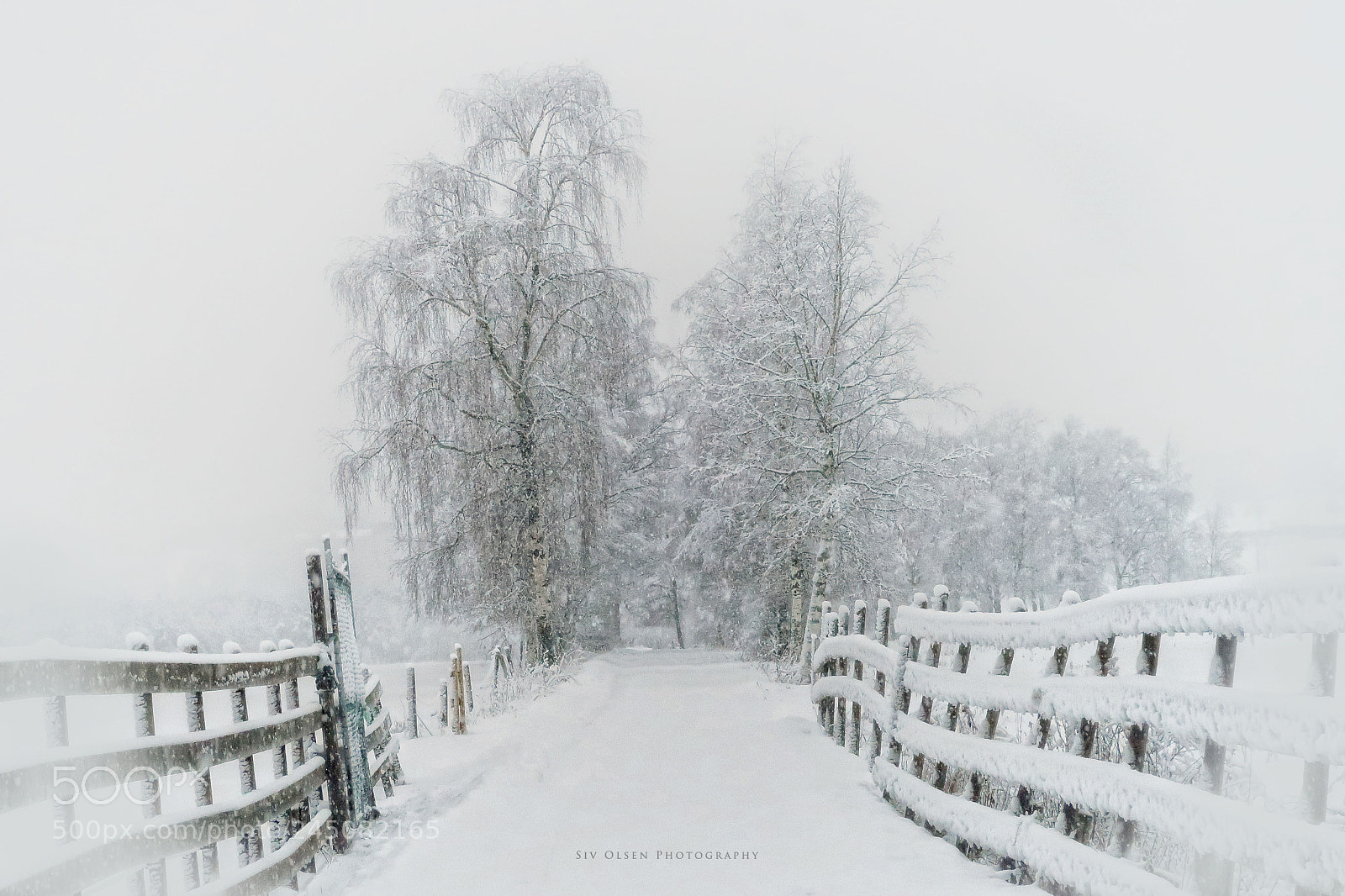 Canon PowerShot G7 X Mark II sample photo. ~ it is snowing ~ photography