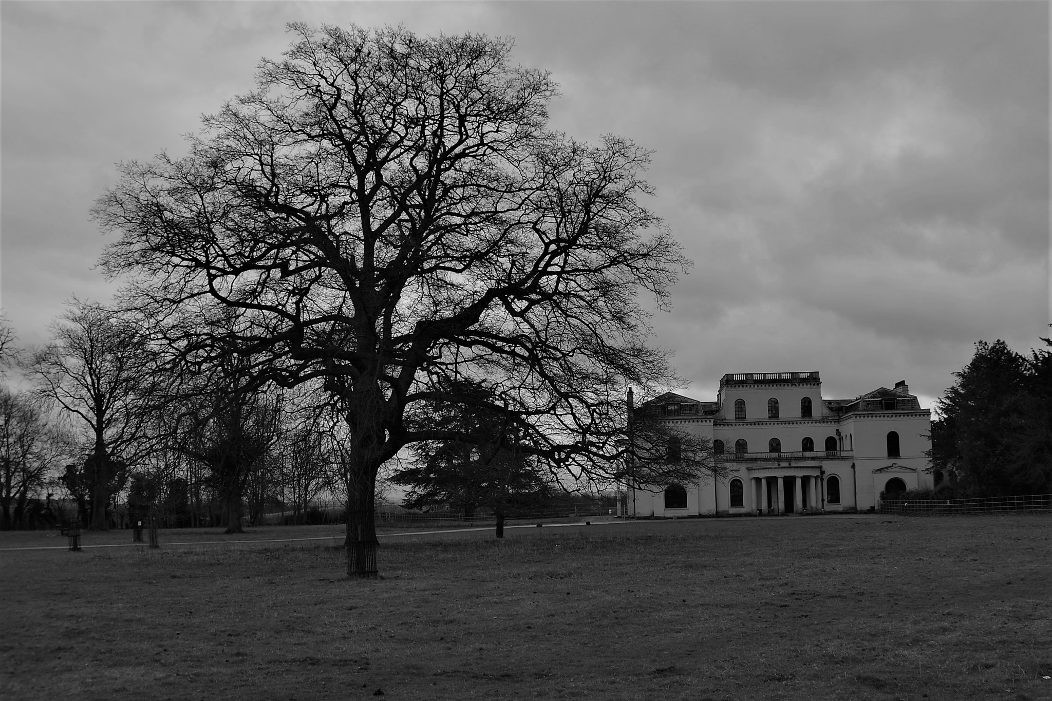 Nikon D3100 sample photo. Moggerhanger house photography