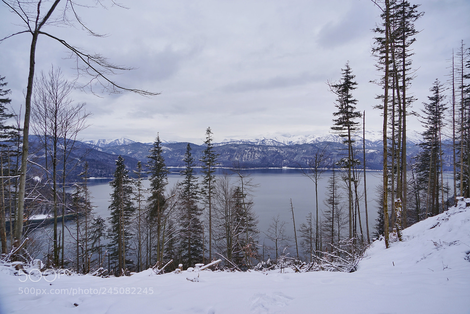 Sony a7R sample photo. Walchensee photography
