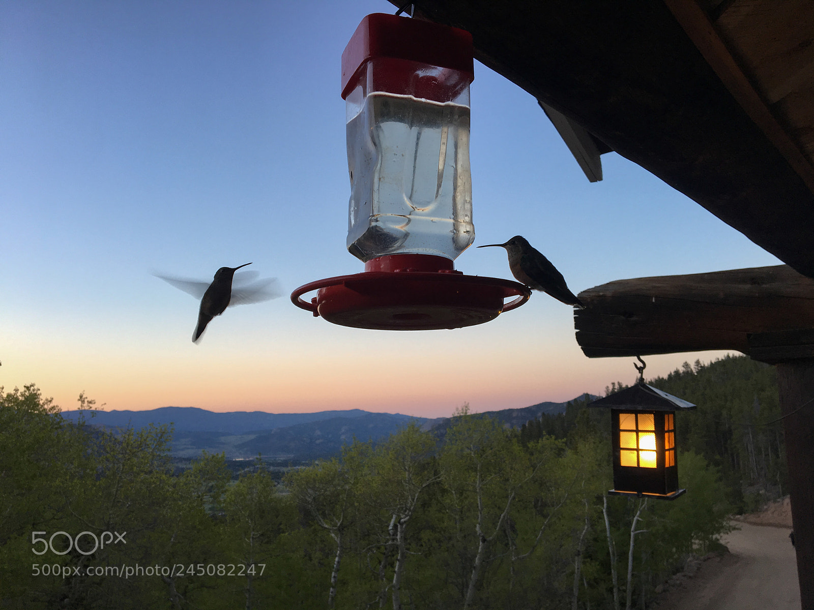 Apple iPhone 6s sample photo. Hummingbirds at baldpate inn photography